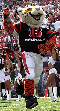 Who Dey - Cincinnati Bengals Mascot